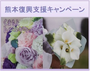 熊本復興支援画像 熊本復興支援画像