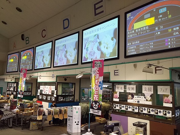 80DSC_1205 80DSC_1205