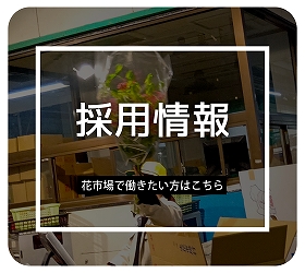 採用情報