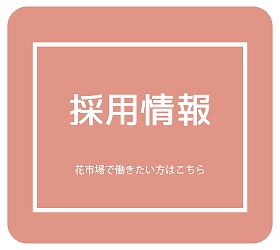 採用情報