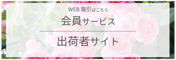 通常時