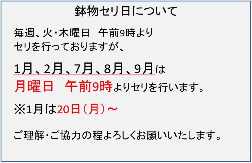 鉢物セリ日について
